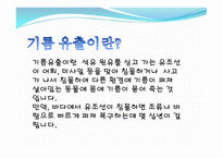 기름유출 기름 유출이란 태안 기름 유출 사건-2