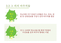 사회복지 바우처 제도 복지란 바우처 사례 바우처 제도 사회보장제도 미국의 바우처 제도-17
