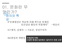 문화소통과문화번역 국제문화론 국제관계에서의문화 문화란무엇인가-3