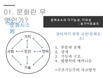 문화소통과문화번역 국제문화론 국제관계에서의문화 문화란무엇인가-4