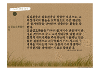 국제금융론 한국 외환보유 환율문제 외환시장-13