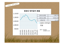 국제금융론 한국 외환보유 환율문제 외환시장-18