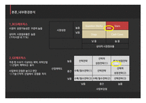 JVM 미국시장 JVM 글로벌경영 JVM브랜드마케팅 서비스마케팅 글로벌경영 사례분석-9