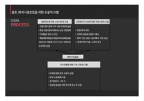 JVM 미국시장 JVM 글로벌경영 JVM브랜드마케팅 서비스마케팅 글로벌경영 사례분석-13
