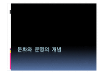 문화와 문명의 개념 칼라일의 정의 문명이란 무엇인가 문화란 무엇인가-1