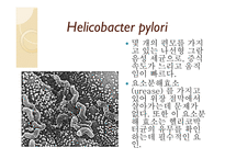 백혈병 급성 골수성 백혈병 급성 림프구성 백혈병 만성 골수성 백혈병 만성 림프구성 백혈병-10
