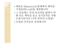 노벨상 조사 노벨 생리의학상 노벨 화학상-6