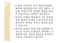 노벨상 조사 노벨 생리의학상 노벨 화학상-8