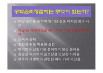 복제 기술 공학 윤리 공학윤리쟁점 생명체 복제란 공학자의 역할과 책임 복제양 돌리-3