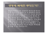 복제 기술 공학 윤리 공학윤리쟁점 생명체 복제란 공학자의 역할과 책임 복제양 돌리-4