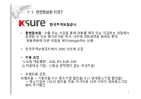 환 변동 보험 환변동보험 이란 환변동보험 현황 환변동보험 이용사례-3