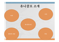글로벌 경영 패스트 패션(SPO) 기업선정 유니클로 SPA 브랜드란 유니클로의 진입전략 유니클로의 성공사례 유니클로의 국내시장 진입-4
