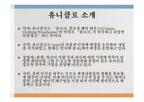 글로벌 경영 패스트 패션(SPO) 기업선정 유니클로 SPA 브랜드란 유니클로의 진입전략 유니클로의 성공사례 유니클로의 국내시장 진입-5