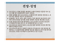 글로벌 경영 패스트 패션(SPO) 기업선정 유니클로 SPA 브랜드란 유니클로의 진입전략 유니클로의 성공사례 유니클로의 국내시장 진입-16
