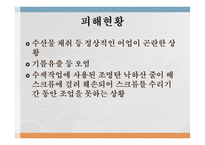 피해현황 기름유출 등 오염 경제적 지원 우리나라의 대처 외상 후 스트레스 장애-2