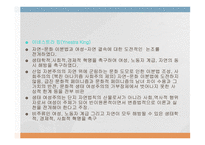 사회적 생태 여성주의 오트너 이네스트라 킹 카렌 워렌-3