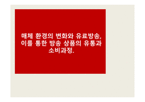 매체의 환경변화 유료방송의 종류 유통과 소비과정-1