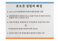 유로존 성립의 배경 유로존의 성립과정 최적통화지역 글로벌 금융위기 유로존 위기-1