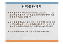 유로존 성립의 배경 유로존의 성립과정 최적통화지역 글로벌 금융위기 유로존 위기-3