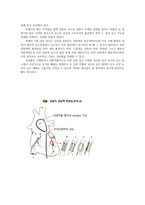생활과건강4공통) 질병예방행위는 잠재적이거나 실제적인 질병 위협 허혈성심장질환인 협심증과 심근경색증에 말기치매환자 증상을 5가지 기술하시오0k-4