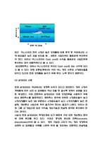 BCG매트릭스 기업사례연구 및 BCG매트릭스 정의와 구성분석 및 BCG매트릭스 한계점 연구-6