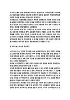 사우스웨스트항공 성공요인과 사우스웨스트 마케팅전략 사례연구 및 사우스웨스트항공 미래방향제시-3