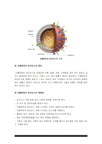 기초간호과학) 1.인플루엔자 바이러스의 정의, 증상, 예방법, 인플루엔자 바이러스 환자 간호 중재, 기초간호과학 2.특발성 혈소판 감소성 자반증(ITP)의 발생기전 및 치료방법, ITP 환자 간호 중재, 기초간호과학 -2021년 방송대 기초간호과학, 인플루엔자 바이러스, ITP, 인플루엔자 바이러스 간호중재, ITP 간호중재-5