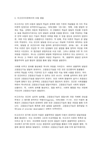유아교육론, 비고츠키-3