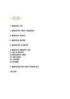 배달의민족 다각화전략과 마케팅전략 사례연구 및 배달의민족 성공요인과 핵심역량분석 및 배달의민족 새로운 전략방향 제시-2