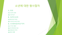 형사소송법상 소년형사절차-1