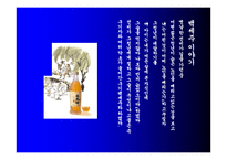 [마케팅원론]국순당 백세주의 현재와 미래-2