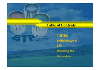 [기업분석]BTP의 중국 마케팅 기획서-2