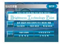 [기업분석]BTP의 중국 마케팅 기획서-3