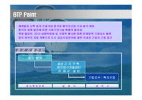 [기업분석]BTP의 중국 마케팅 기획서-4