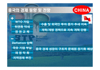 [기업분석]BTP의 중국 마케팅 기획서-10