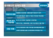 [기업분석]BTP의 중국 마케팅 기획서-11