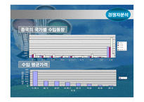 [기업분석]BTP의 중국 마케팅 기획서-12