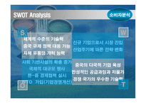 [기업분석]BTP의 중국 마케팅 기획서-13