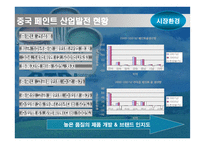 [기업분석]BTP의 중국 마케팅 기획서-14