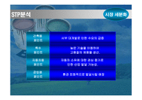 [기업분석]BTP의 중국 마케팅 기획서-15