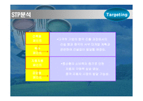 [기업분석]BTP의 중국 마케팅 기획서-16