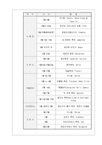 [여행사 사업계획서] 유럽의 축제 아마존 오지 전문여행사-6