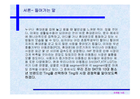 [광고전략]SK Telecom - TTL-ting의 시장 경쟁력 분석-3