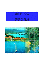 [여행사 사업계획서] 아마존 오지 전문여행사-2