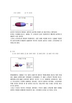 [컨디션 시장조사]컨디션 시장조사-11