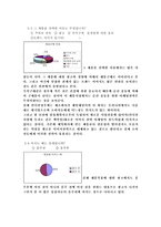 [컨디션 시장조사]컨디션 시장조사-17