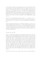 [Piaget]Piaget의 인지 발달-3