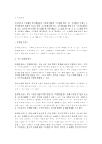 [Piaget]Piaget의 인지 발달-8