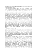전자화폐 레포트-5