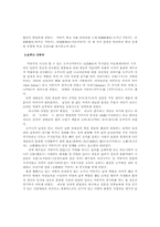 일본의 가부키 레포트-8